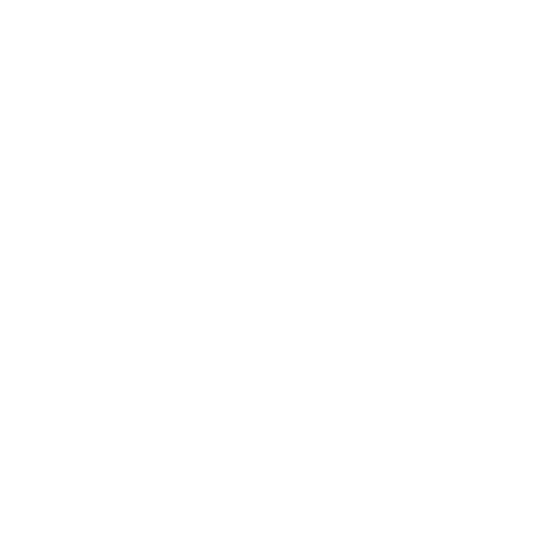 Nishant Mittal Logo